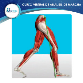 curso interactivo de análisis de  marcha